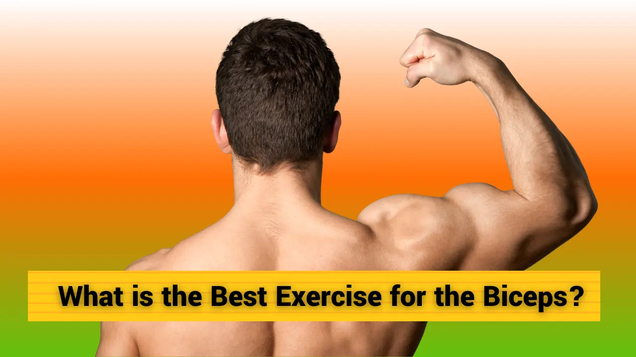 Biceps hindi exercise with dumbbells, biceps workout at home, biceps kaise banaye ghar par बाइसेप्स बनाने के उपाय triceps exercise,