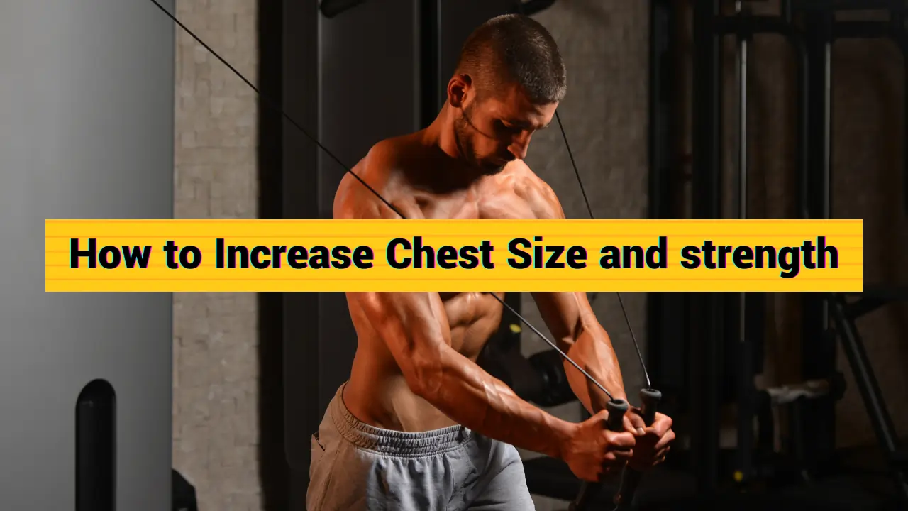 How to Increase Chest Size and strength 1